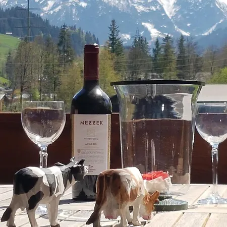 Farfalla By Interhome Apartamento